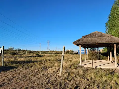 Ruta Panamericana 100