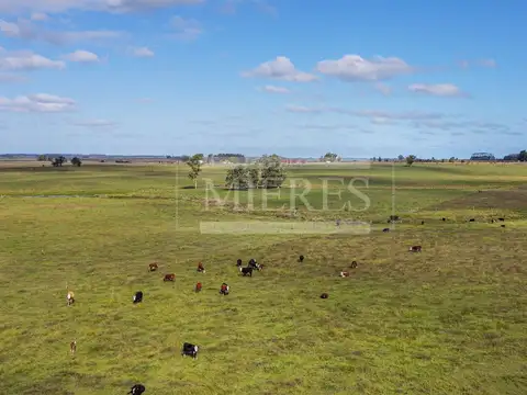 Campo - Venta - Uruguay, Maldonado