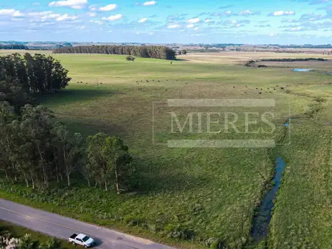 Campo - Venta - Uruguay, Maldonado