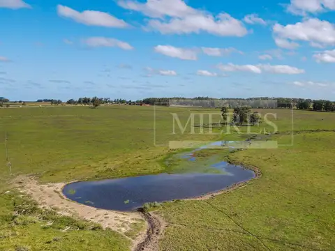 Campo - Venta - Uruguay, Maldonado