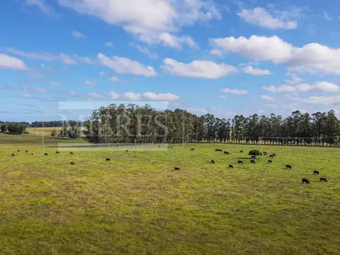 Campo - Venta - Uruguay, Maldonado