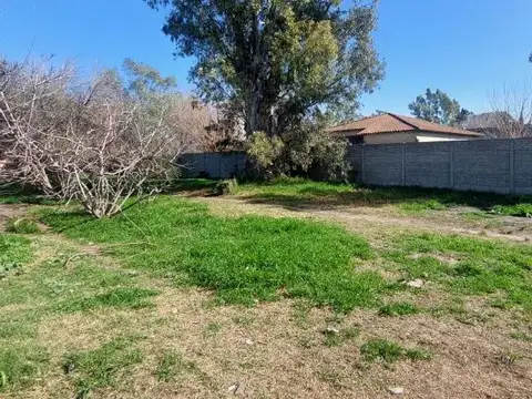 Terreno en Venta de 1005,0 m2