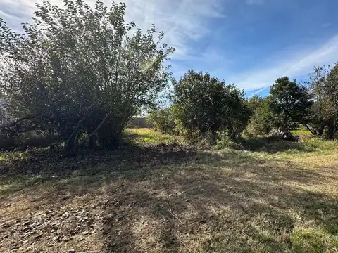 VENTA TERRENO 1006 M2 COLONIA VICENTE AGUERO