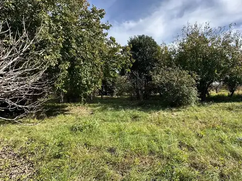 Terreno en Venta de 1006,0 m2
