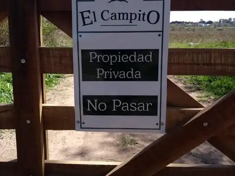 Terreno en Venta en Arturo Segui, USD 17.000