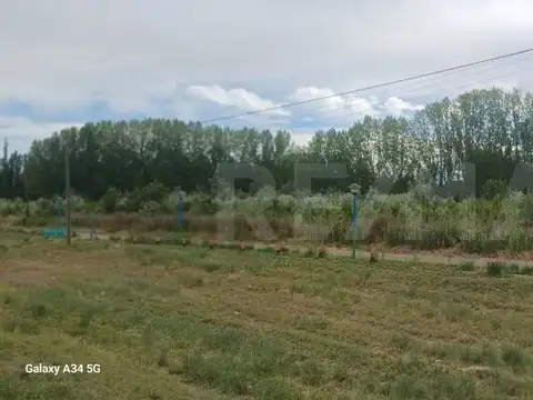 Parcela 05 B Chacra 06 ruta 151