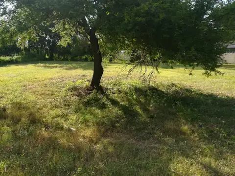AMPLIO TERRENO EN VENTA COLASTINE NORTE