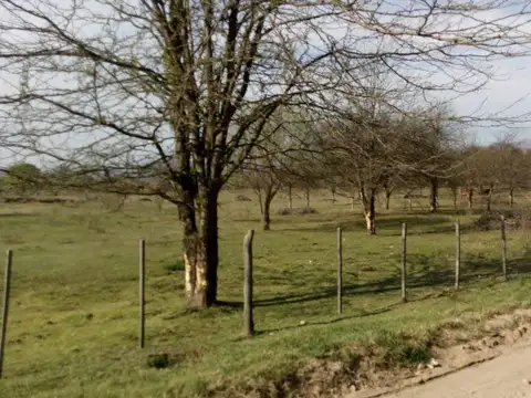 Venta Terreo en Nono - Traslasierra