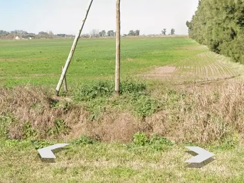 5 HECTAREAS EN ZAVALLA SOBRE RUTA 33