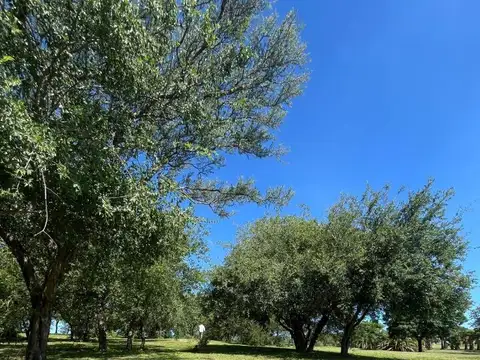 Terreno en Venta de 1500,0 m2