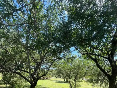 Valle Del Golf