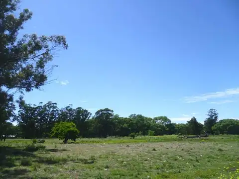 Chacra en Gral Lavalle