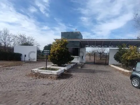Las Margaritas