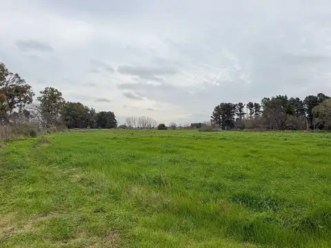 Campo en Venta en Exaltación de la Cruz, Partido de Exaltación de la Cruz