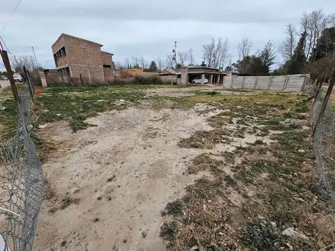 Amsterdam y Guayanas