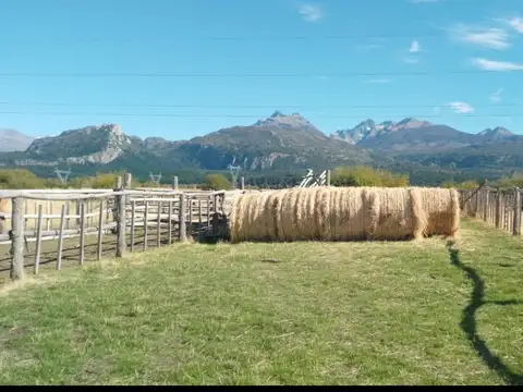 Campo en Venta de 15  ha