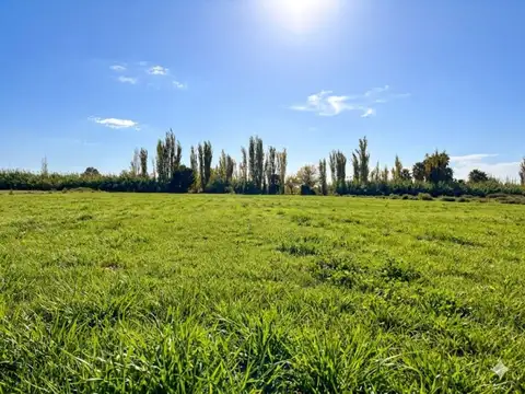 VENTA DE TERRENO EN CORRALITOS