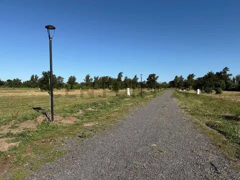 Terreno en Venta 48  mts Fondo