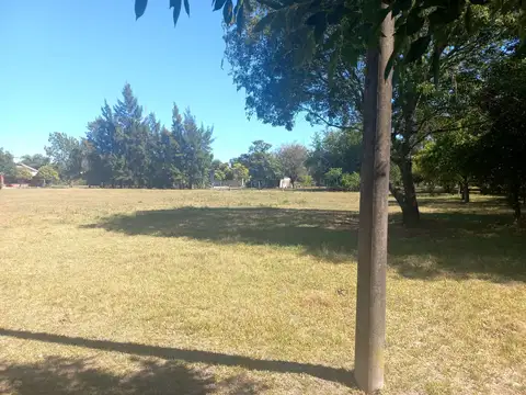 Manuel Obligado 300