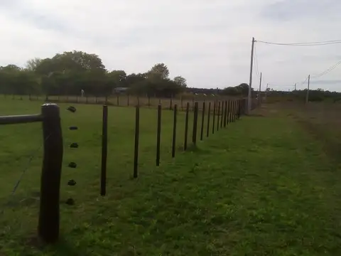 Terreno en Venta, FOT 4