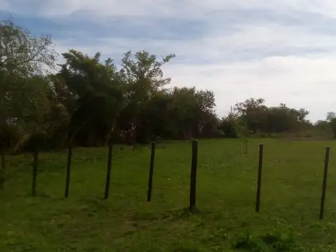 Barrancas Del Vega 1