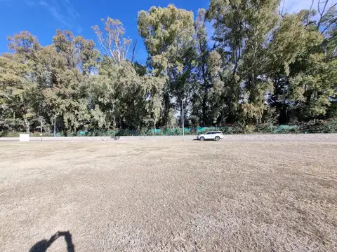 Terreno - Venta - Argentina, Juana Koslay