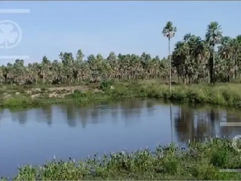 Campo Ganadero en Venta en Paraguay