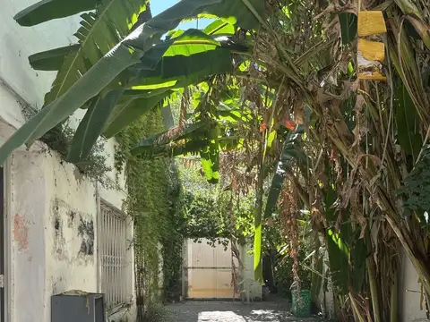 Galpon en Alquiler 38 años