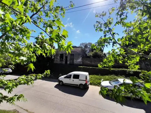 Cecilio Carreras 446