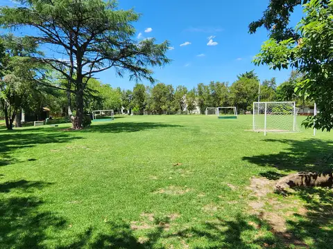 Casa en Alquiler en El Bosque, USD 1.100