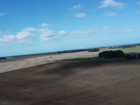 Camino viejo Miramar