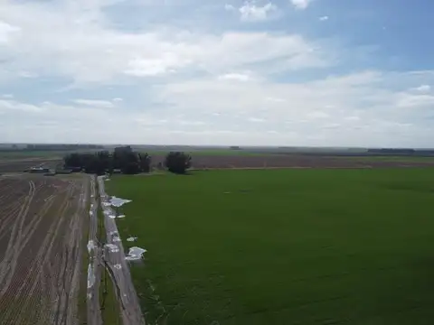 Camino viejo Miramar