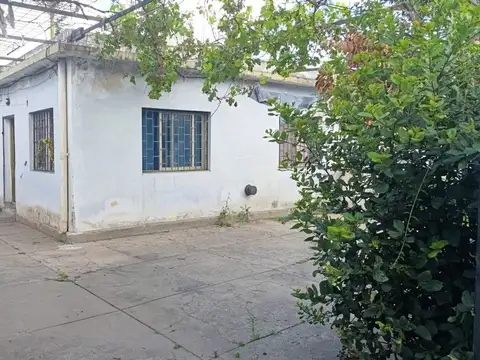 León Guruciaga 600