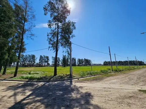 Terreno en Venta de 288,0 m2