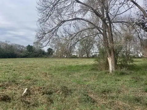 Terreno de una hectárea en Ataliva