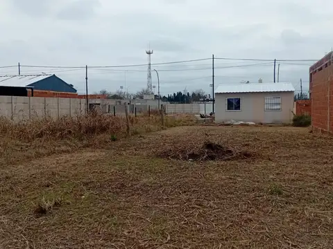 De Los Sirios 6900