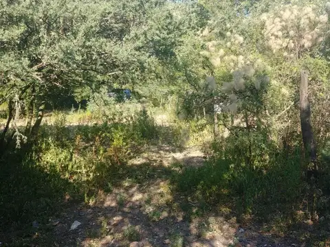 San Antonio de Arredondo 100