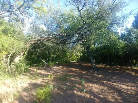 VENTA DE TERRENO EN SAN ANTONIO DE ARREDONDO