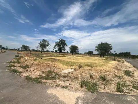 Prados del Oeste II, Moreno