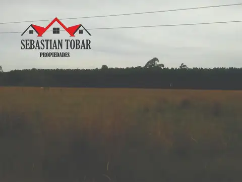 Colectora Acceso Sur s/n