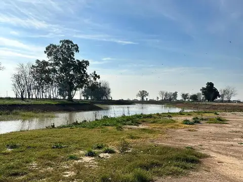 Terreno en Venta de 705,0 m2