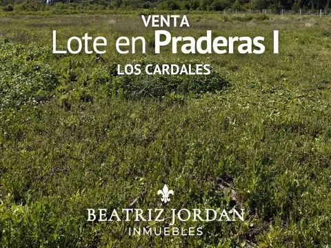 TERRENO EN VENTA, PRADERAS 1, LOS CARDALES