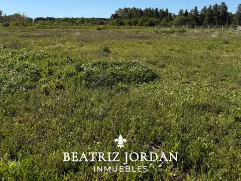 Terreno en Venta de 2000,0 m2