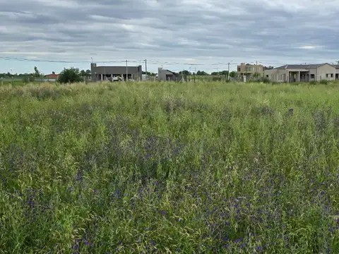 Terreno en Venta 42  mts Frente