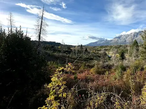 El Radal