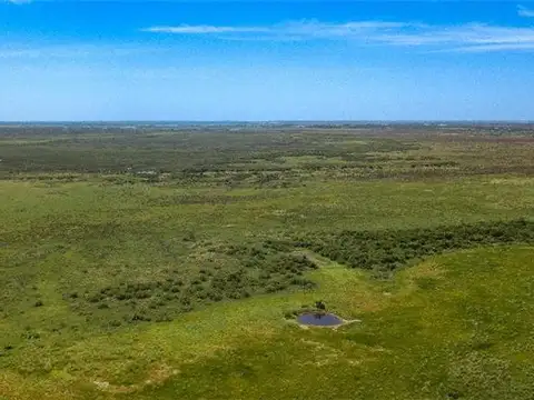 554 Ha Super estratégicas, sobre ruta 1.