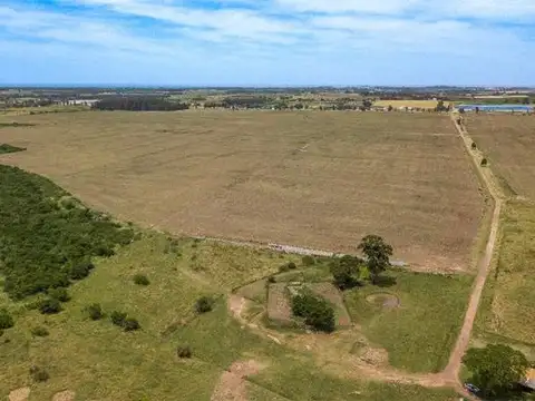 Campo en Venta de 554  ha