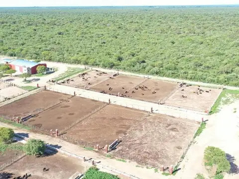 Campo 123 ha Feedlot Villa de Soto