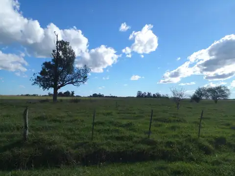 Campo en Venta de 2  ha