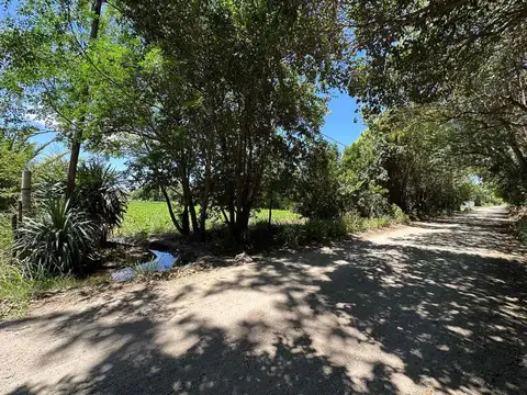 Venta lote industrial 2500 mts villa gran parque